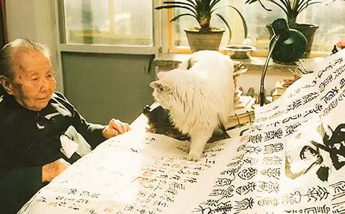 ��������