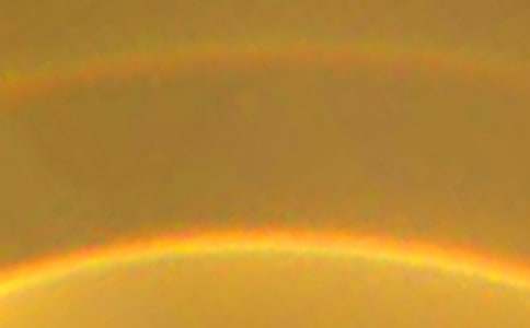 《彩虹鴿》讀后感15篇