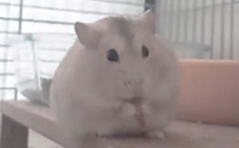 ���xС�}���(d��ng)������ĺϼ���ƪ