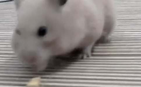 �P(gu��n)��С�}(c��ng)���(d��ng)�������ʮƪ