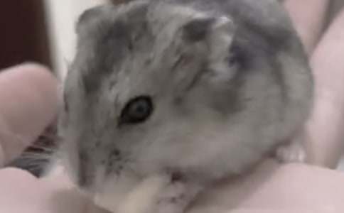 ���õ�С�}����������ʮƪ