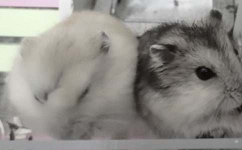 �}���(d��ng)������