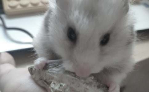 �P(gu��n)��С���������400�� С�}��