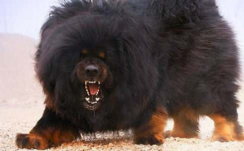 ���u�L���ᡷ�^���