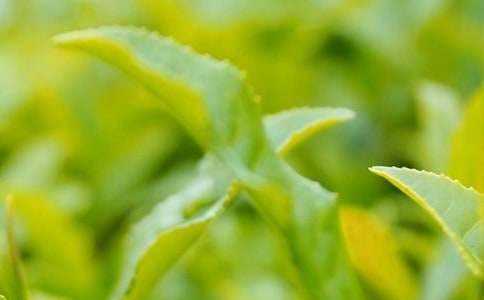 ���~�I�N�V���Z