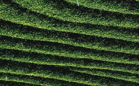 ���~�I�u��ͬ