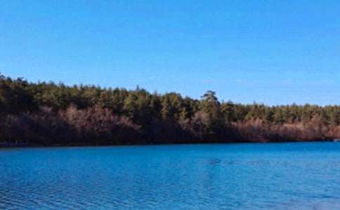 �����L��ɽ��(d��o)���~