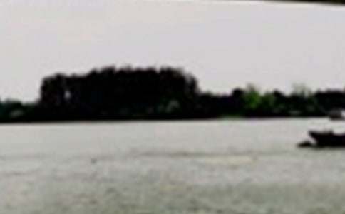 �����L(zh��ng)�����?q��)����~