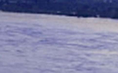 保護長江的倡議書(15篇)