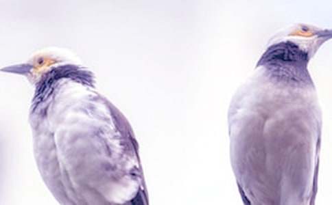 ��ͬ�W���ܙzӑ��