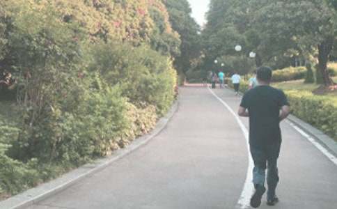 �����������t���zӑ��