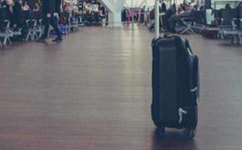 �����ĵ��w�����\��14ƪ��