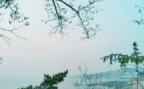 �ҵ��ഺ�L(f��ng)������