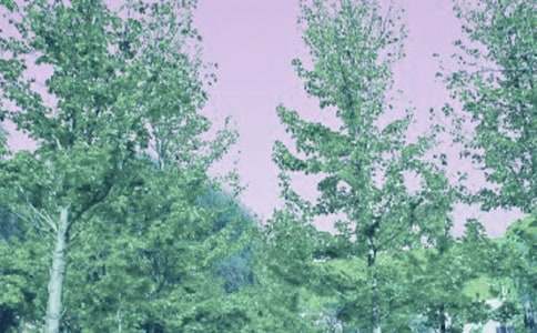 ���L(f��ng)�������Y(ji��)