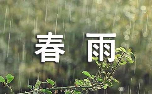 大班語言教案:春雨的色彩11篇