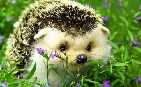 ����^���