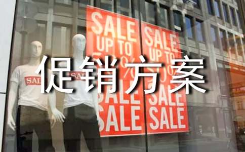 實用的促銷方案(通用8篇)