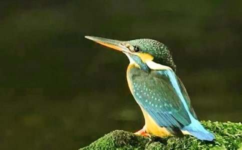 �P�ڡ����B�� �Ľ̰�