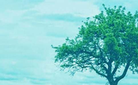 С�ݺʹ���x���[��Ʒ]