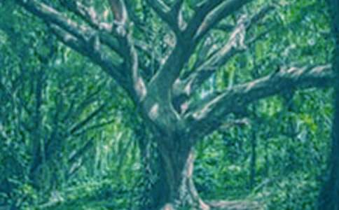 һ�w���(sh��)����