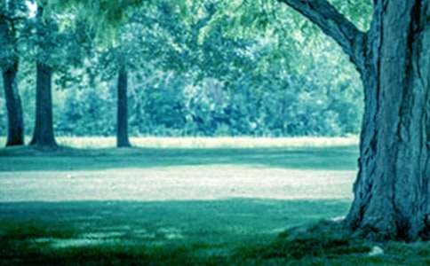 �����T�������������