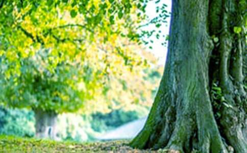 ��С�ܮ���䡷�̰���ͨ��14ƪ��