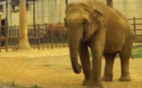 ����Z�Դ����С�ý̰�7ƪ