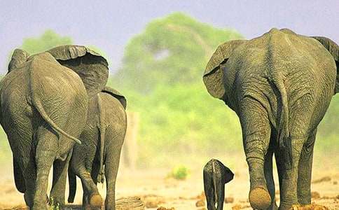 ������ۜI�x��У����x13ƪ��