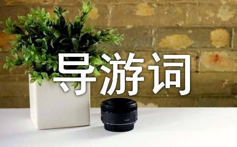 �S��Ϫ�����~