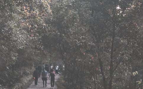 �W(xu��)����ɽ��ӷ���