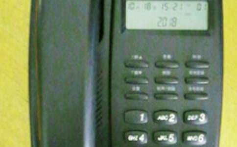 小班下學(xué)期語(yǔ)言教案《春天的電話》