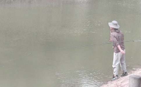 《小貓釣魚》教案15篇(薦)