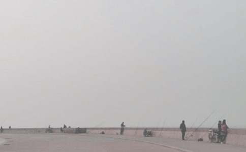 釣魚比賽活動方案15篇【精】