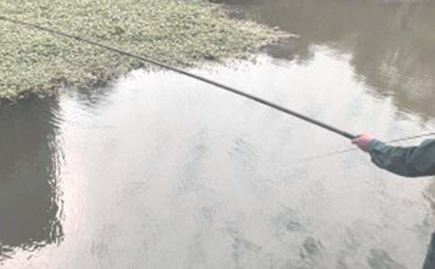 《釣魚的啟示》讀后感700字