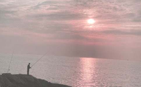 С؈��~С�W(xu��)����(����15ƪ)