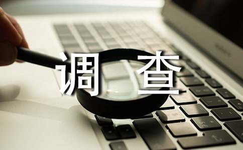 大學(xué)生做兼職調(diào)查報告(通用15篇)