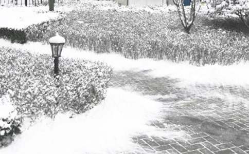 冬季疾病預(yù)防教案模板(通用14篇)