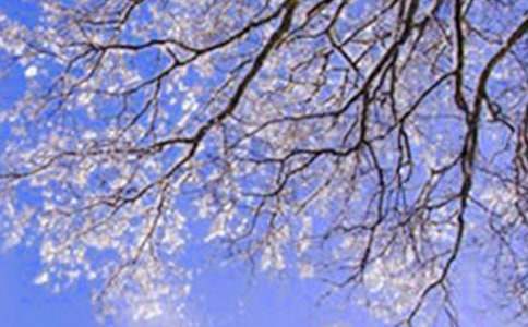 �����ѩ�а�̰������x20ƪ��