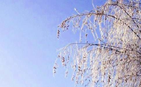 中班主題教案冬天的小路