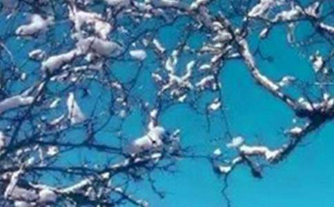 ����o�L݅�Ć����Z