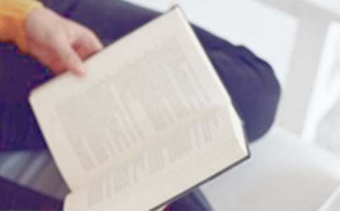 土雞的冒險讀后感