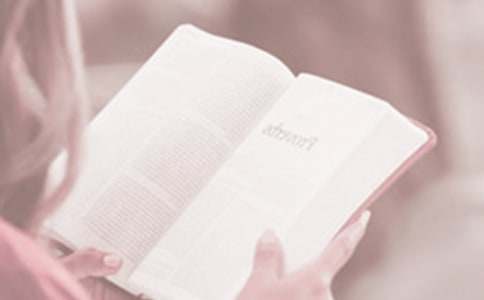 �����x�������}�����v��