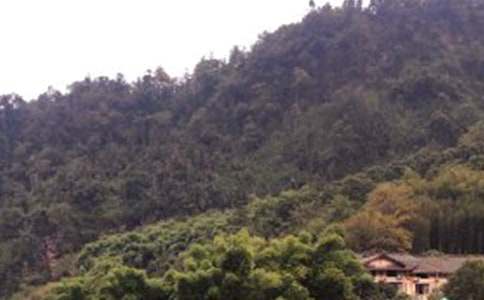 ����üɽ�¸衷�̰�11ƪ