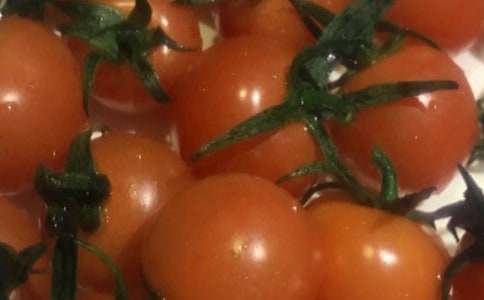 С���Z�Խ̰������Ѽt�ˡ�