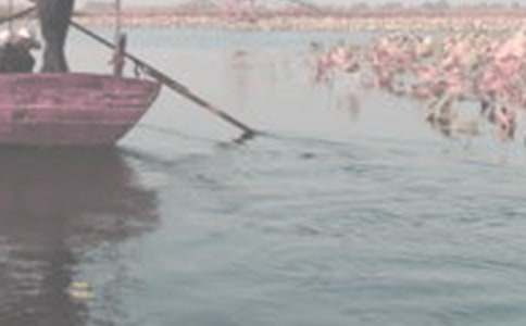 樂(lè)海泛舟教案