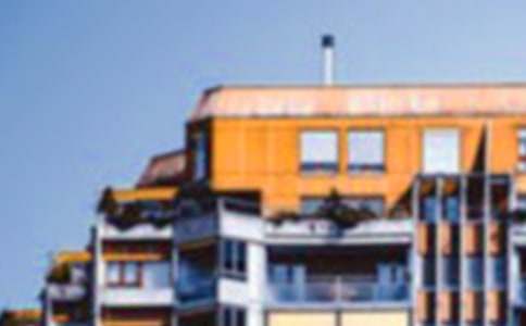 ��Ư���ķ��ӡ��̰�