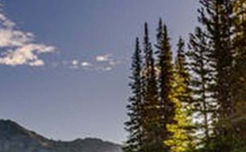 ��ԓ�e�^���L������