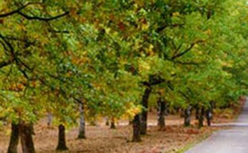 ���x������L(f��ng)������600��3ƪ