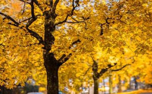 �����x����Ϥ���L(f��ng)������600��71ƪ