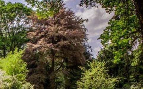 精選優(yōu)秀風(fēng)景作文600字10篇